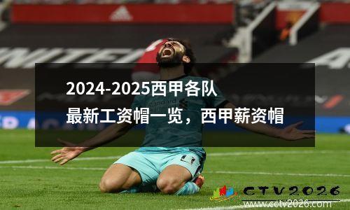 2024-2025西甲各队最新工资帽一览，西甲薪资帽