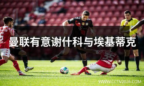 曼联有意谢什科与埃基蒂克