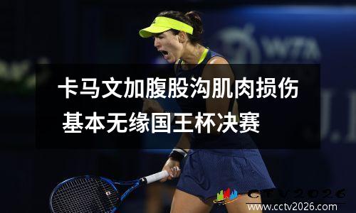 卡马文加腹股沟肌肉损伤 基本无缘国王杯决赛