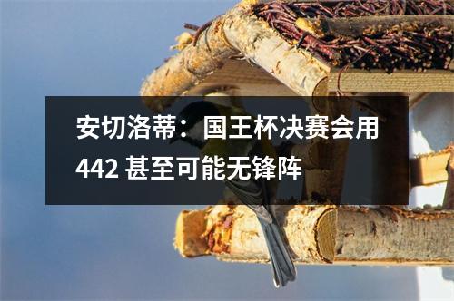安切洛蒂：国王杯决赛会用442 甚至可能无锋阵