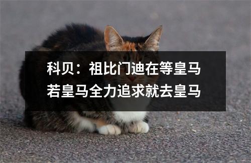 科贝：祖比门迪在等皇马 若皇马全力追求就去皇马