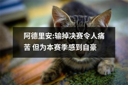 阿德里安:输掉决赛令人痛苦 但为本赛季感到自豪