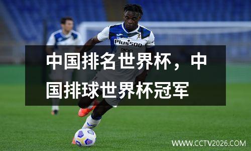 中国排名世界杯，中国排球世界杯冠军