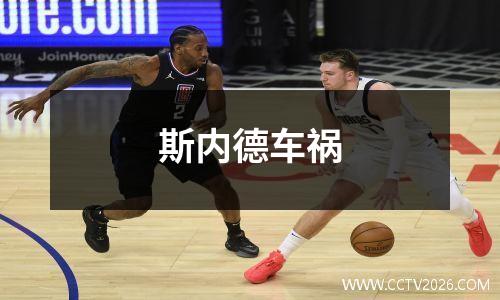 斯内德车祸