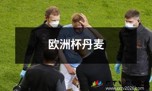 欧洲杯丹麦