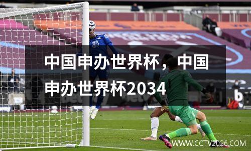 中国申办世界杯，中国申办世界杯2034
