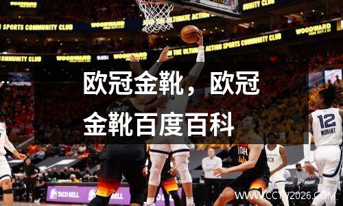 欧冠金靴，欧冠金靴百度百科