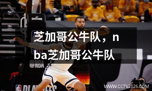 芝加哥公牛队，nba芝加哥公牛队
