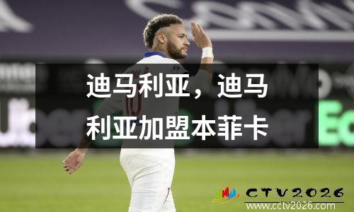 迪马利亚，迪马利亚加盟本菲卡
