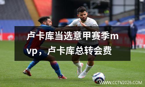 卢卡库当选意甲赛季mvp，卢卡库总转会费