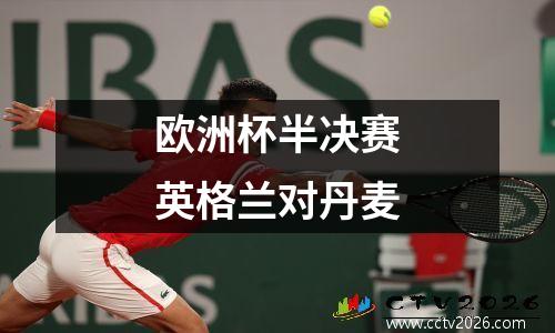 欧洲杯半决赛英格兰对丹麦