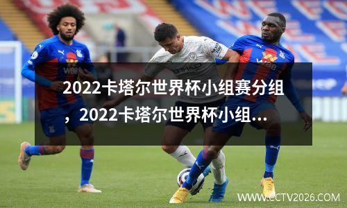 2022卡塔尔世界杯小组赛分组，2022卡塔尔世界杯小组赛分组图