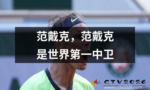范戴克，范戴克是世界第一中卫