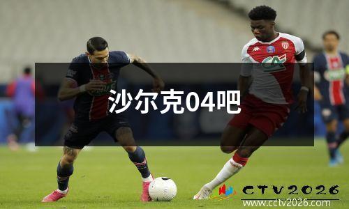 沙尔克04吧