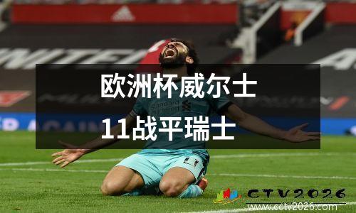 欧洲杯威尔士11战平瑞士
