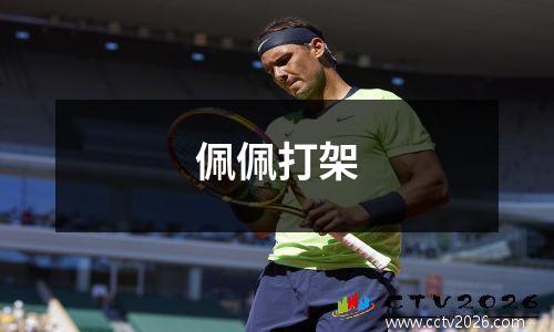 佩佩打架