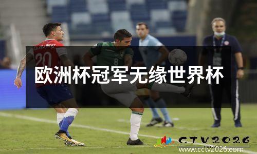 欧洲杯冠军无缘世界杯