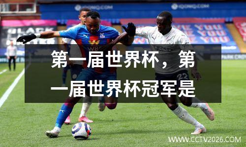 第一届世界杯，第一届世界杯冠军是