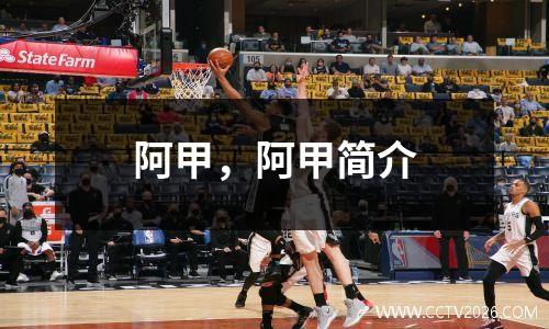 阿甲，阿甲简介