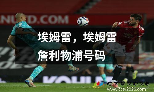 埃姆雷，埃姆雷詹利物浦号码