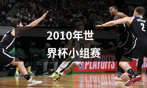 2010年世界杯小组赛