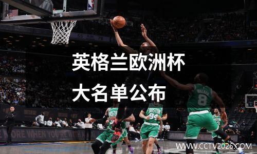 英格兰欧洲杯大名单公布