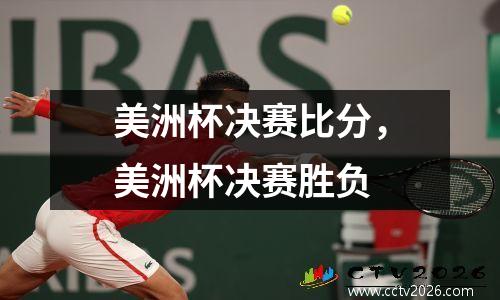 美洲杯决赛比分，美洲杯决赛胜负
