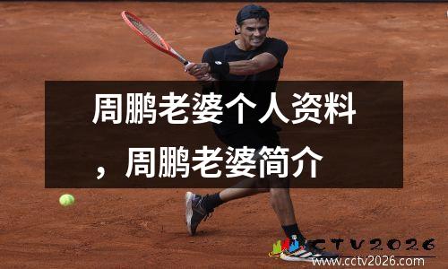 周鹏老婆个人资料，周鹏老婆简介