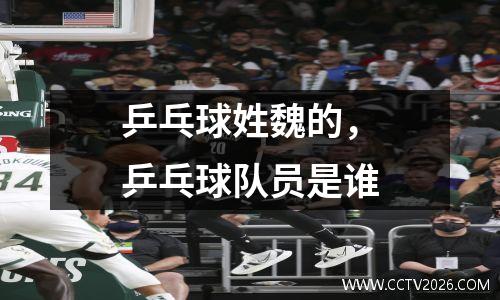 乒乓球姓魏的，乒乓球队员是谁