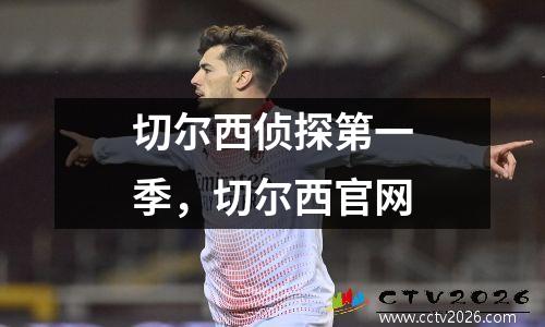 切尔西侦探第一季，切尔西官网