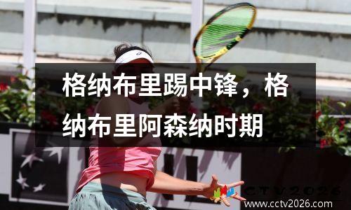 格纳布里踢中锋，格纳布里阿森纳时期