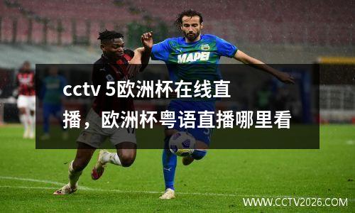 cctv 5欧洲杯在线直播，欧洲杯粤语直播哪里看