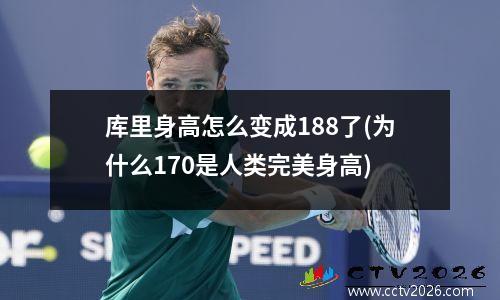 库里身高怎么变成188了(为什么170是人类完美身高)