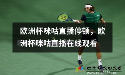 欧洲杯咪咕直播停顿，欧洲杯咪咕直播在线观看