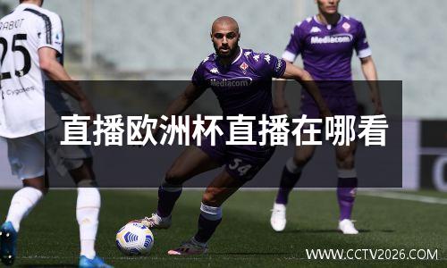 直播欧洲杯直播在哪看
