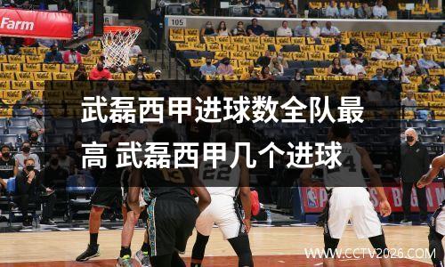 武磊西甲进球数全队最高 武磊西甲几个进球