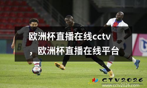 欧洲杯直播在线cctv，欧洲杯直播在线平台