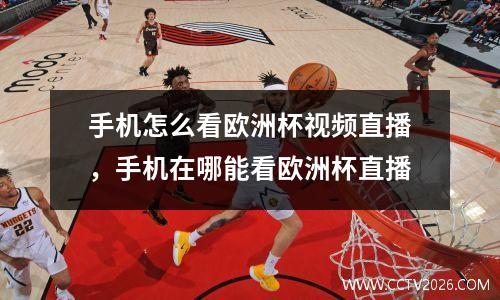 手机怎么看欧洲杯视频直播，手机在哪能看欧洲杯直播