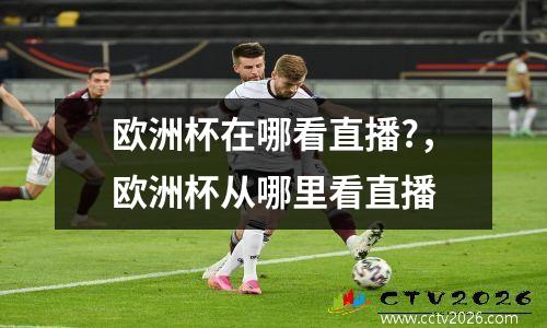 欧洲杯在哪看直播?，欧洲杯从哪里看直播