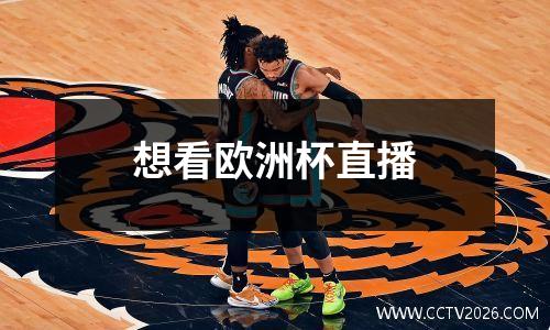 想看欧洲杯直播