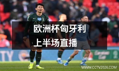 欧洲杯匈牙利上半场直播