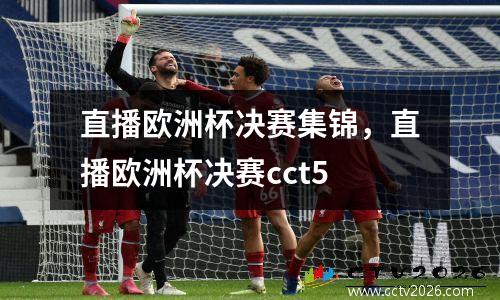 直播欧洲杯决赛集锦，直播欧洲杯决赛cct5