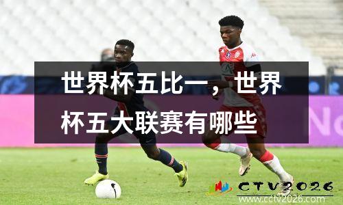 世界杯五比一，世界杯五大联赛有哪些