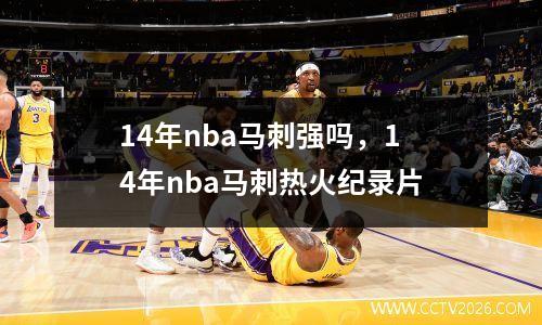 14年nba马刺强吗，14年nba马刺热火纪录片