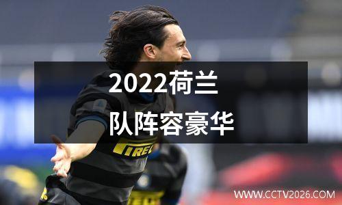 2022荷兰队阵容豪华