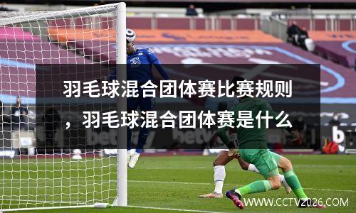 羽毛球混合团体赛比赛规则，羽毛球混合团体赛是什么