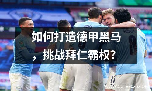 如何打造德甲黑马，挑战拜仁霸权？