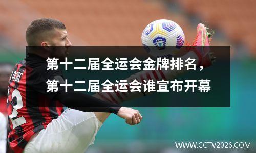 第十二届全运会金牌排名，第十二届全运会谁宣布开幕