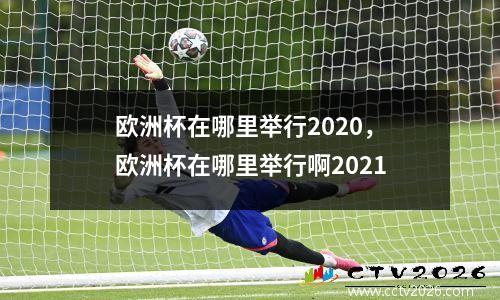 欧洲杯在哪里举行2020，欧洲杯在哪里举行啊2021