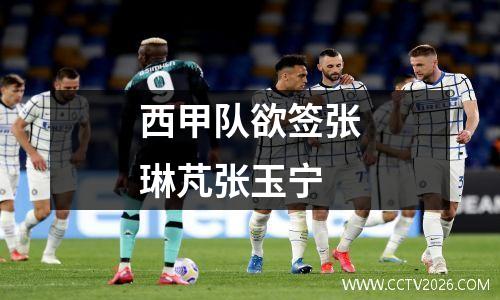 西甲队欲签张琳芃张玉宁